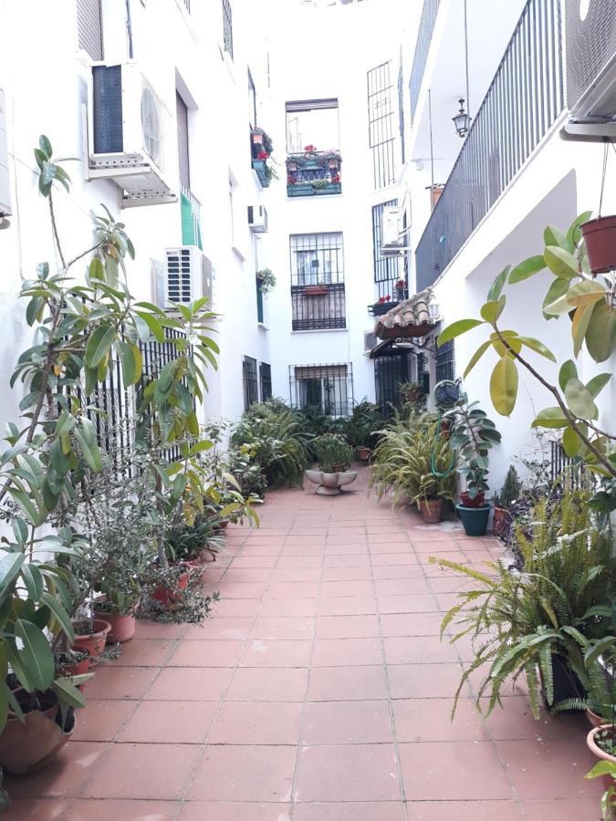 Apartamento Centro Juderia Cordoba Apartment Luaran gambar